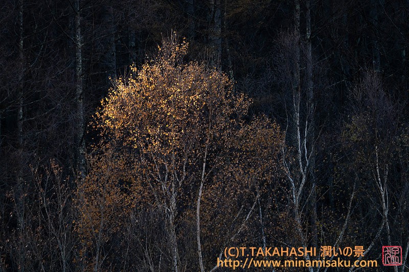 ../Images/7R251122 (3).jpg